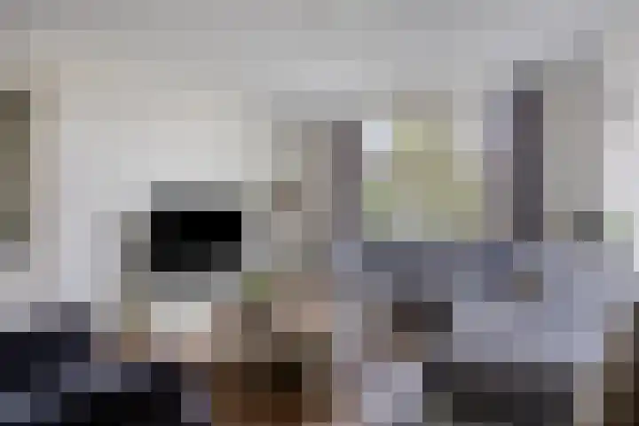 De Volmer 1 Haaksbergen thumbnail 5