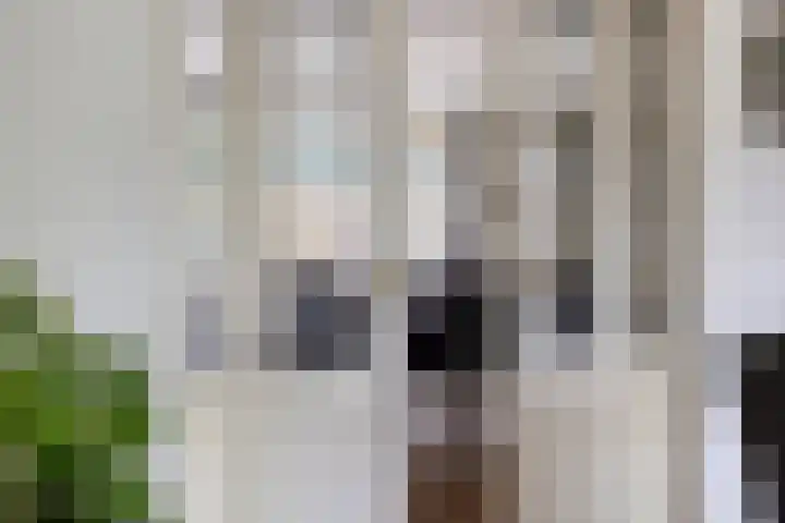 De Volmer 1 Haaksbergen thumbnail 6