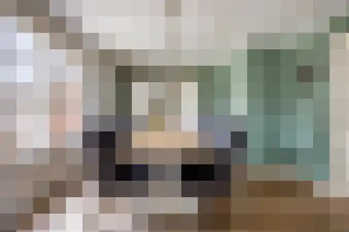 De Volmer 1 Haaksbergen thumbnail 8