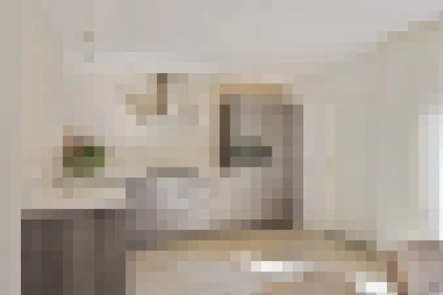 De Volmer 140 Haaksbergen thumbnail 16