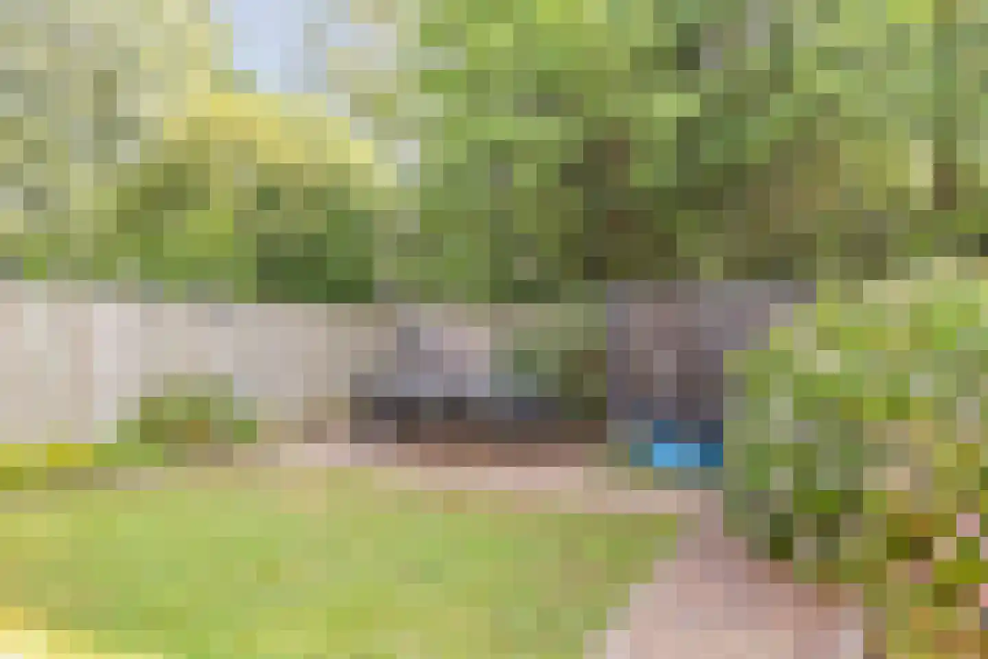 De Volmer 140 Haaksbergen thumbnail 34
