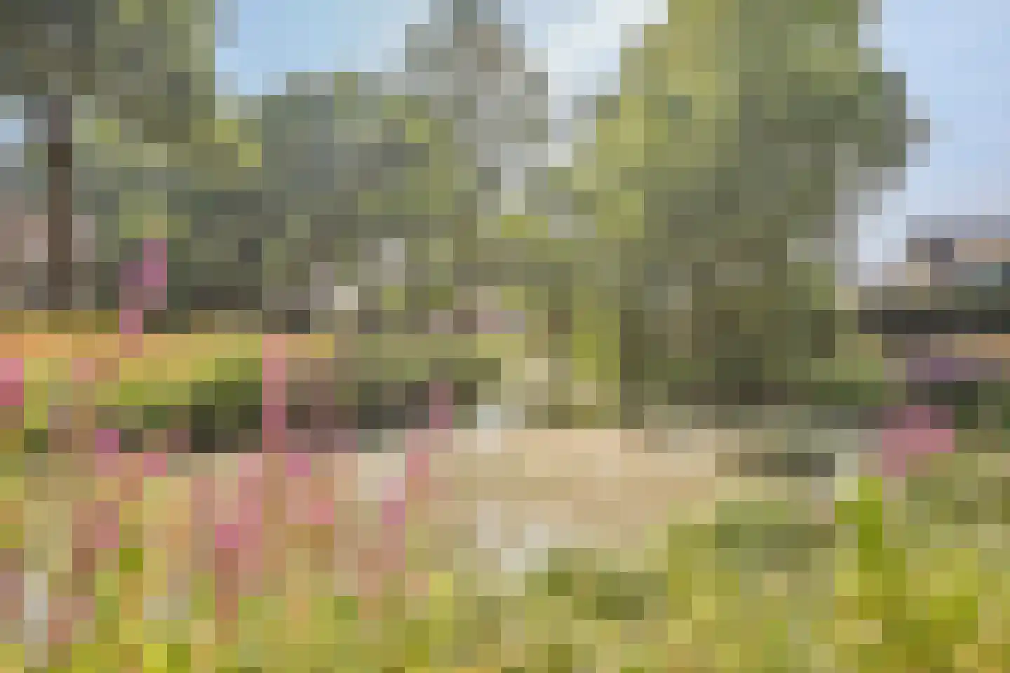 De Volmer 140 Haaksbergen thumbnail 37