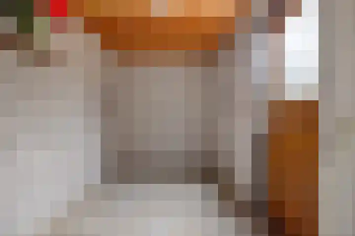 De Volmer 152 Haaksbergen thumbnail 13