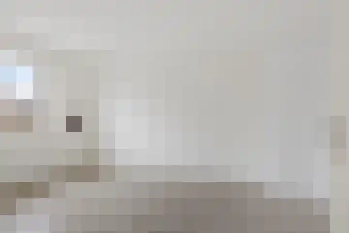 De Volmer 152 Haaksbergen thumbnail 18