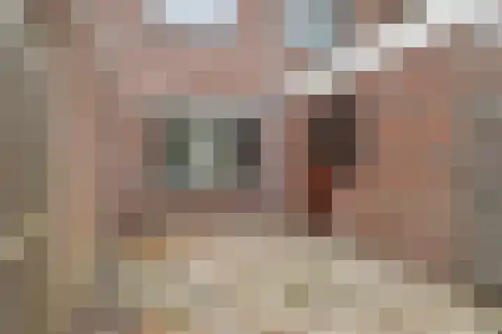 De Volmer 152 Haaksbergen thumbnail 33