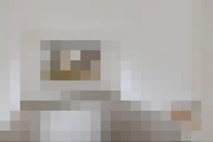 De Volmer 152 Haaksbergen thumbnail 6