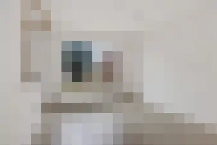 De Volmer 152 Haaksbergen thumbnail 8