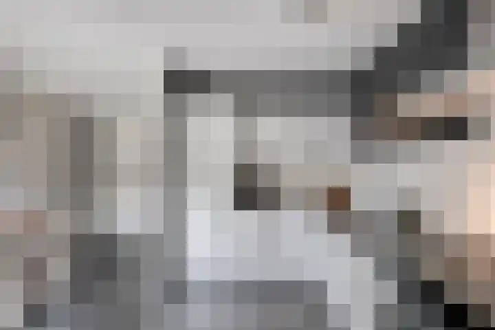 De Volmer 200 Haaksbergen thumbnail 12