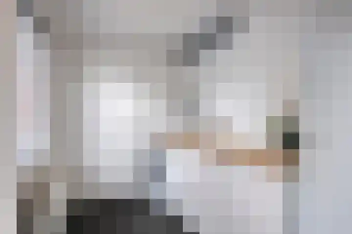 De Volmer 200 Haaksbergen thumbnail 14
