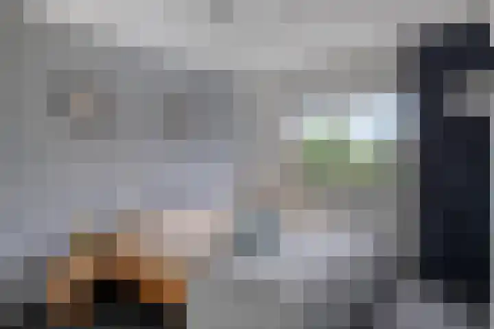 De Volmer 200 Haaksbergen thumbnail 21