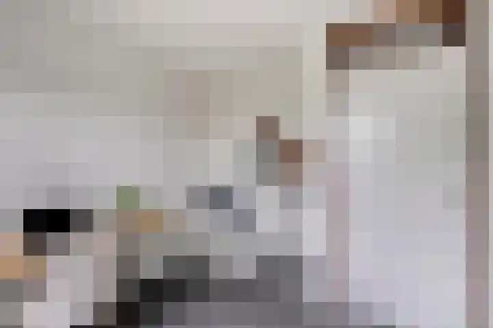 De Volmer 200 Haaksbergen thumbnail 24