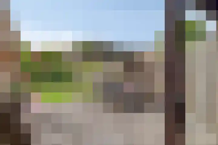 De Volmer 200 Haaksbergen thumbnail 29