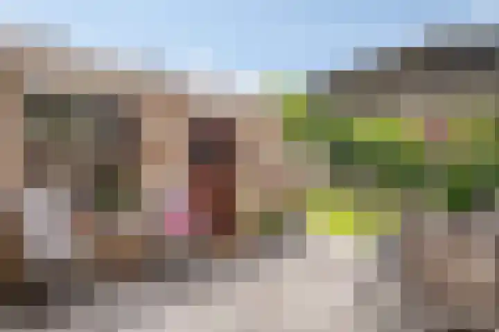 De Volmer 200 Haaksbergen thumbnail 30