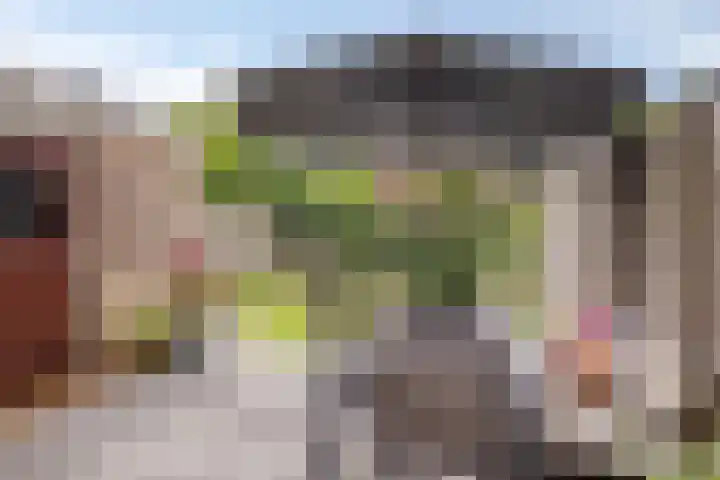 De Volmer 200 Haaksbergen thumbnail 31