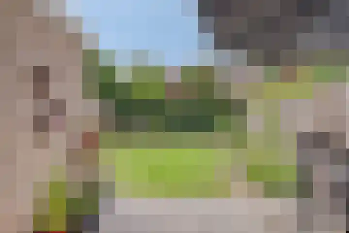 De Volmer 200 Haaksbergen thumbnail 32