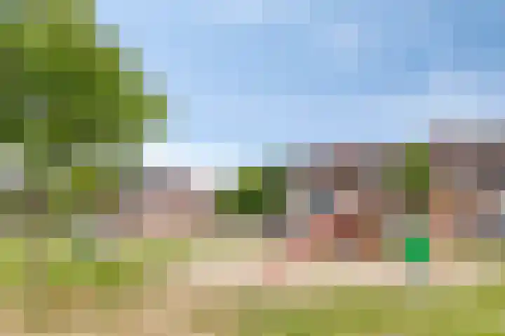 De Volmer 200 Haaksbergen thumbnail 34