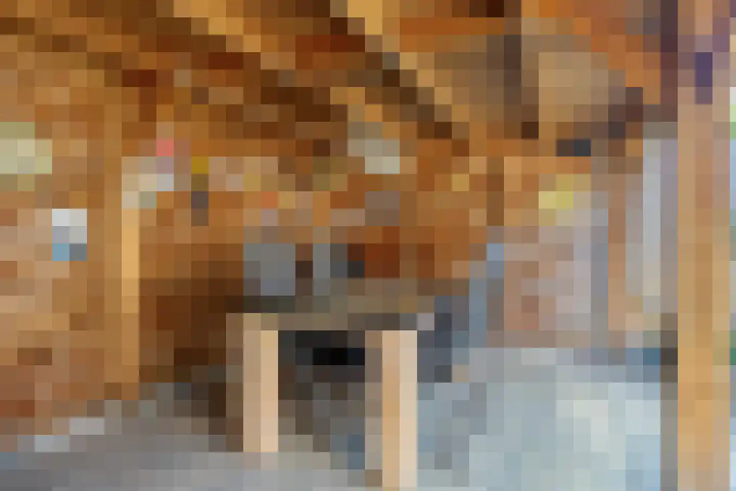 De Volmer 42 Haaksbergen thumbnail 24