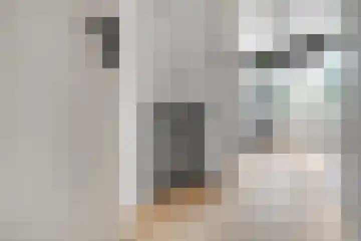 De Volmer 47 Haaksbergen thumbnail 22