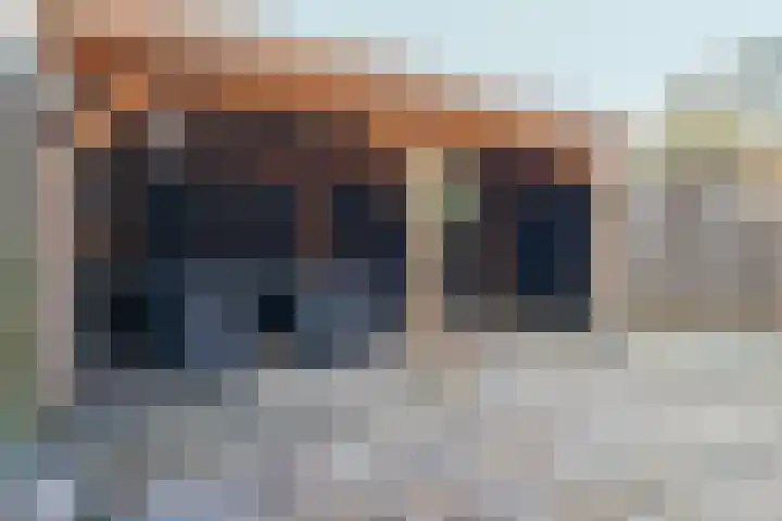 De Volmer 47 Haaksbergen thumbnail 39