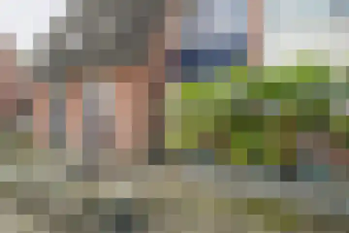 De Volmer 47 Haaksbergen thumbnail 6