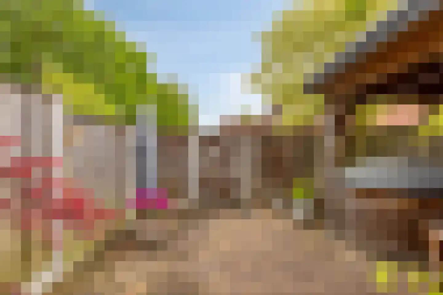 De Volmer 67 Haaksbergen thumbnail 35