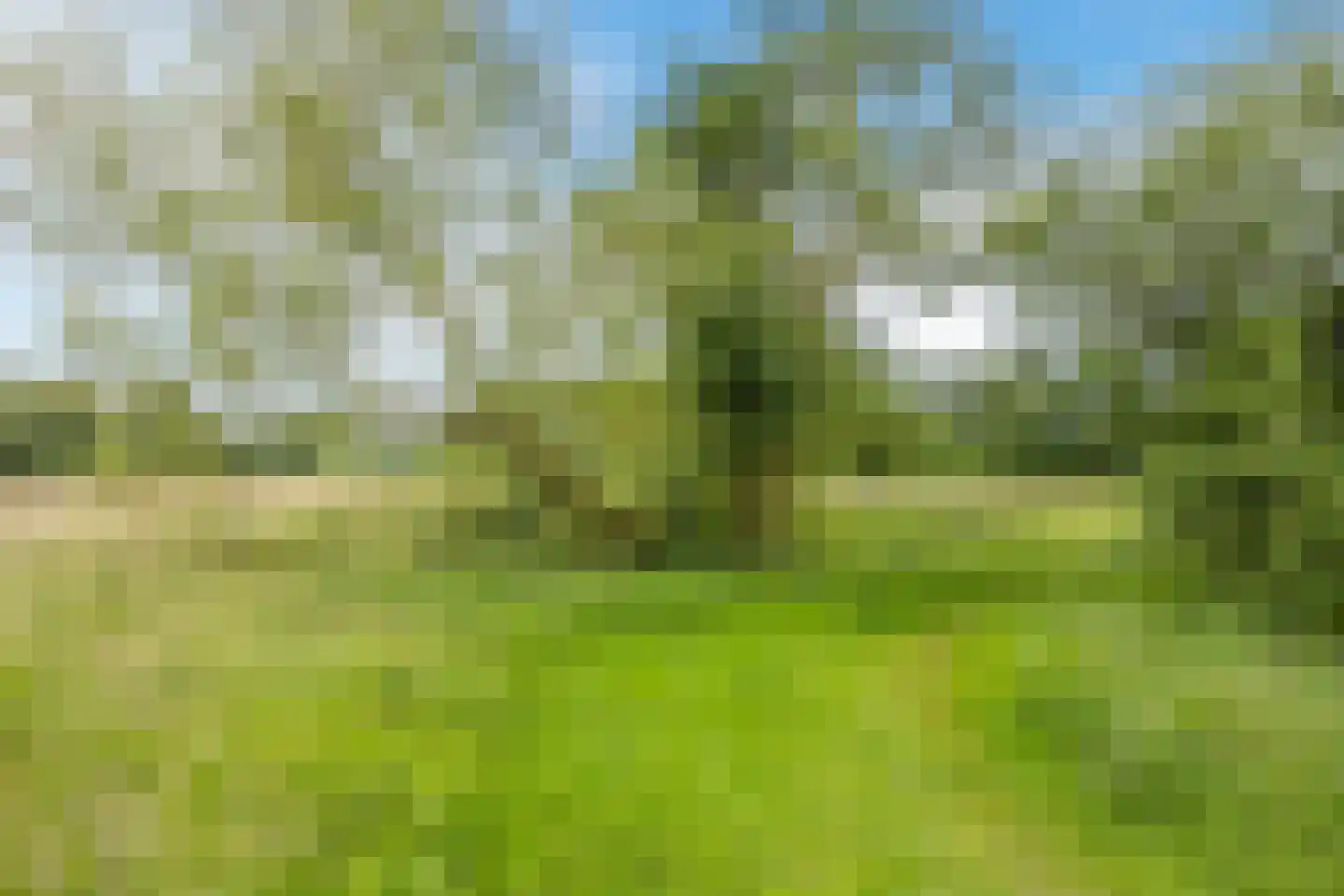 De Volmolen 14 01 Goirle thumbnail 46