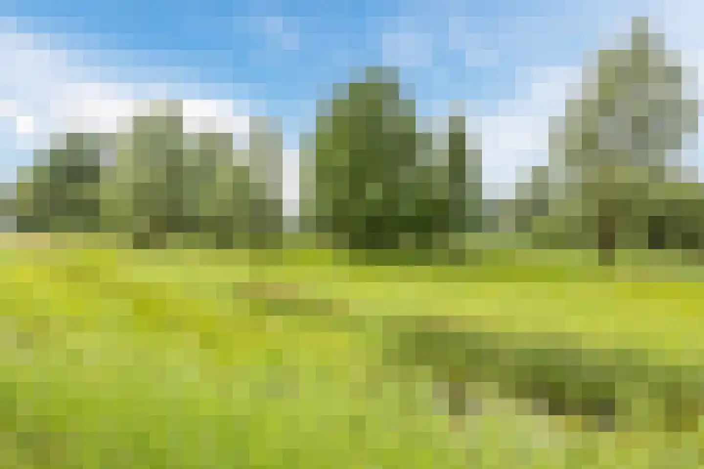De Volmolen 14 01 Goirle thumbnail 46