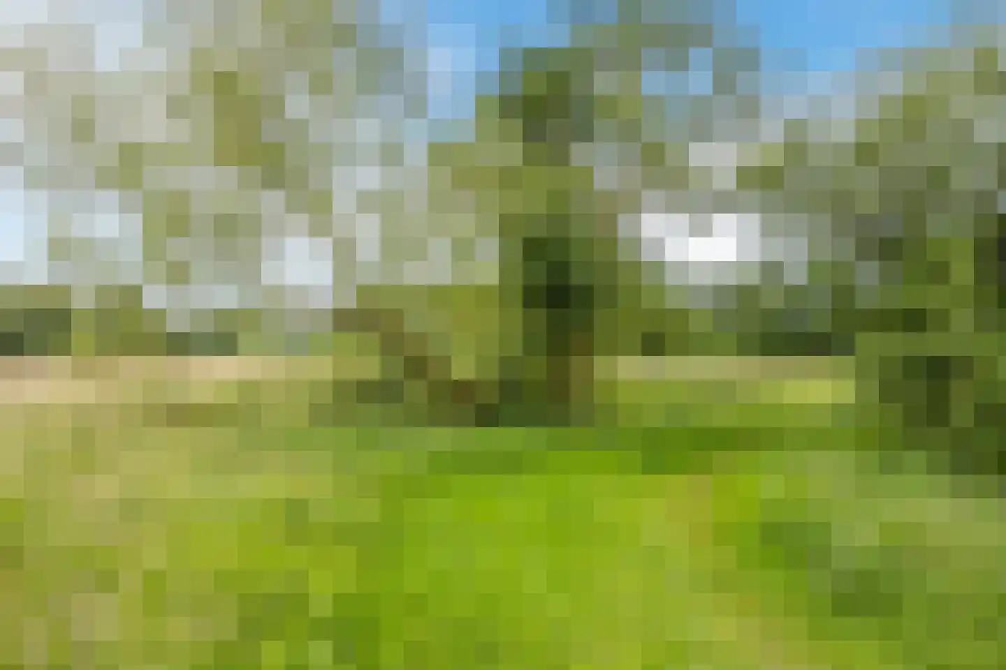 De Volmolen 14 01 Goirle thumbnail 47