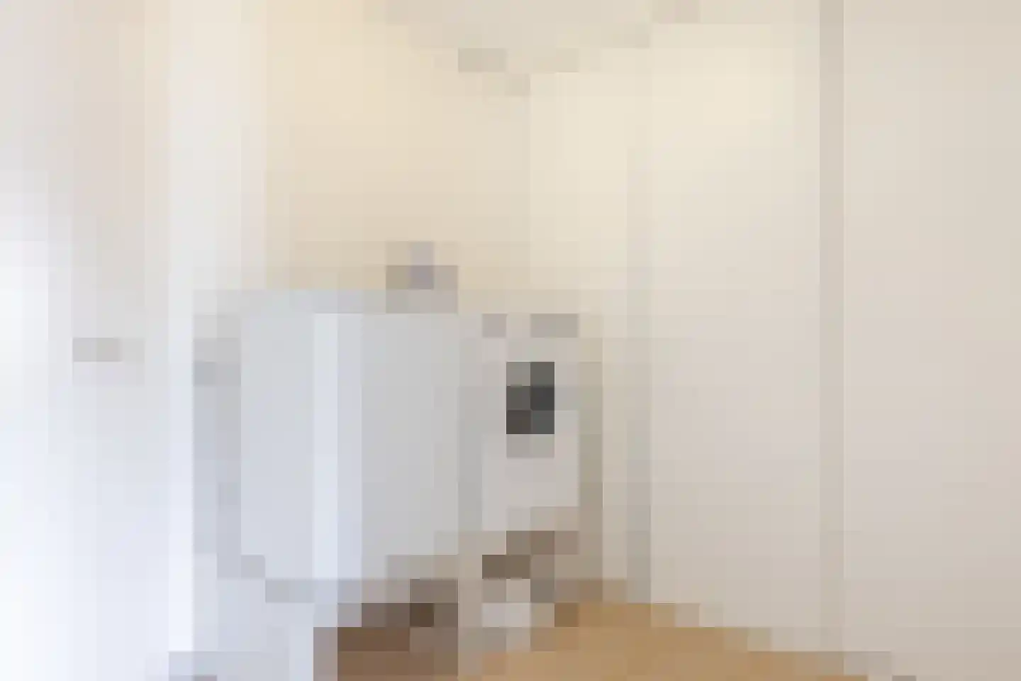 De Volmolen 5 Goirle thumbnail 12