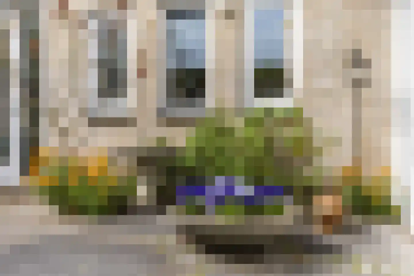 De Volmolen 5 Goirle thumbnail 27