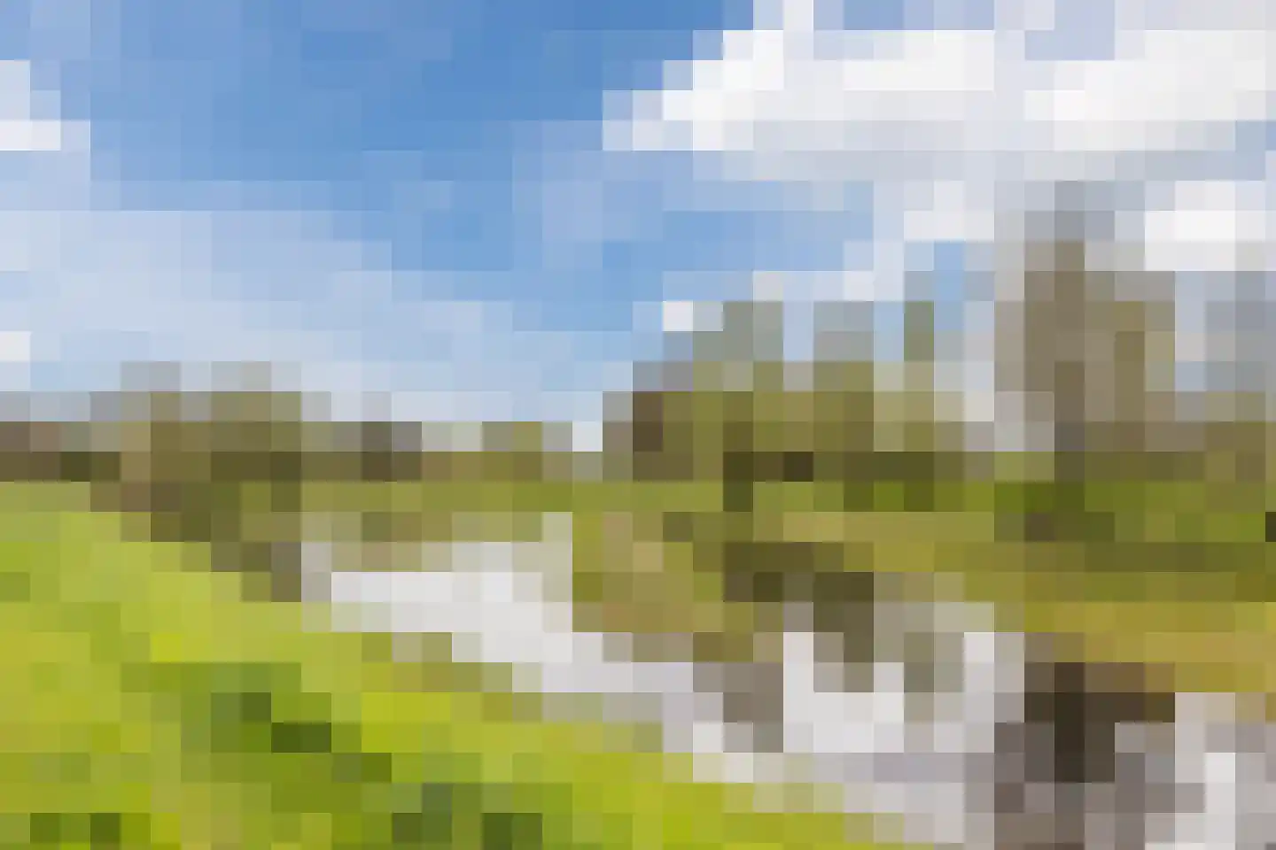 De Volmolen 5 Goirle thumbnail 28