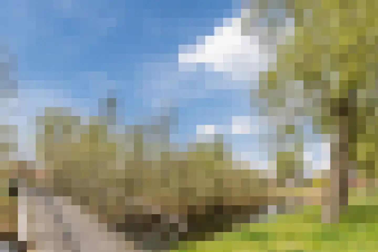 De Volmolen 5 Goirle thumbnail 29