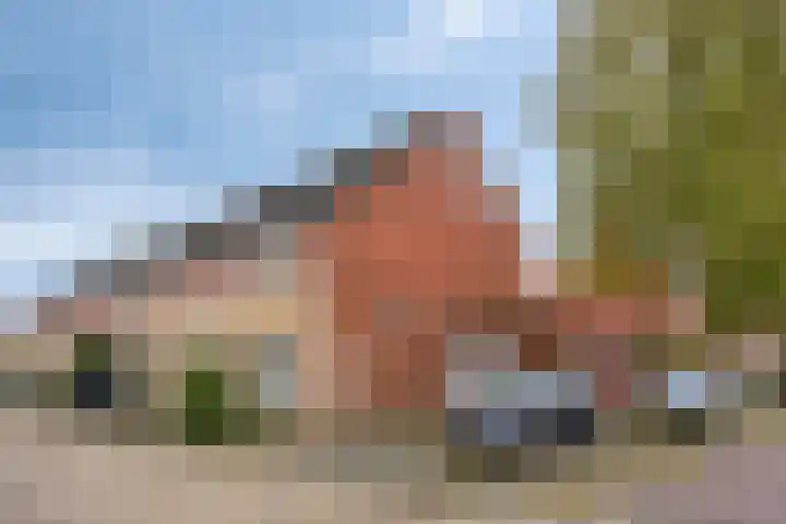 De Volmolen 51 Goirle thumbnail 13
