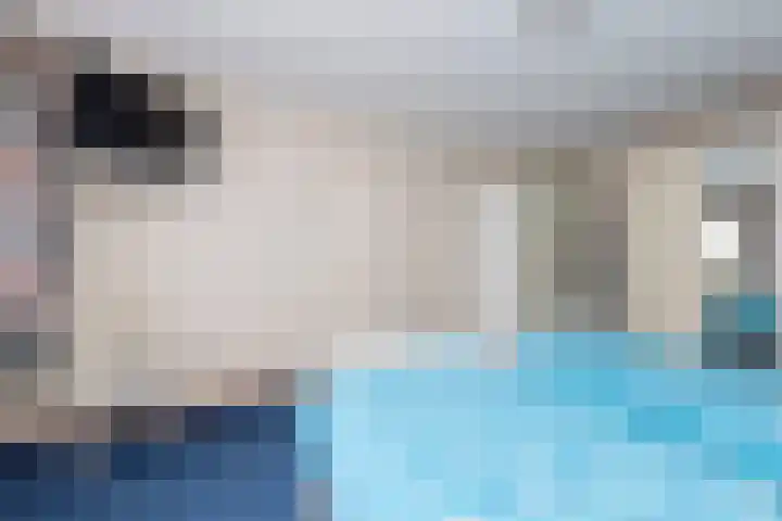 De Volmolen 73 Goirle thumbnail 20