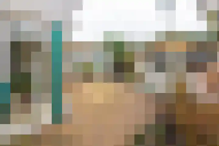 De Volmolen 73 Goirle thumbnail 25
