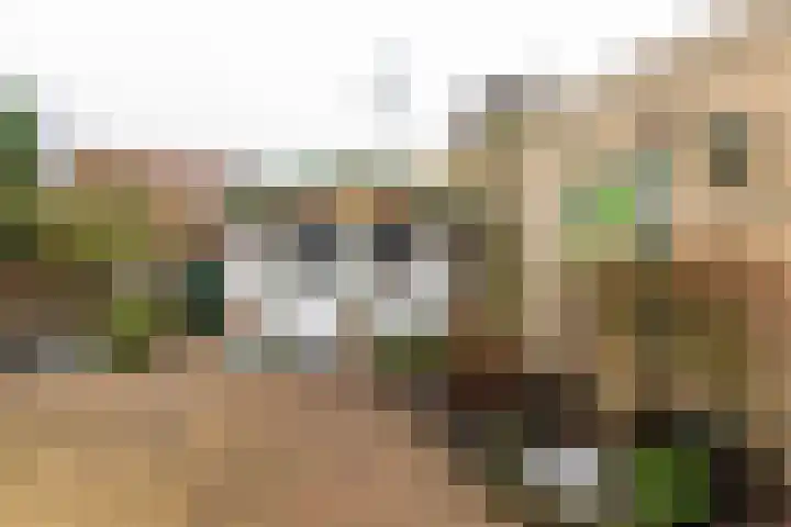 De Volmolen 73 Goirle thumbnail 26