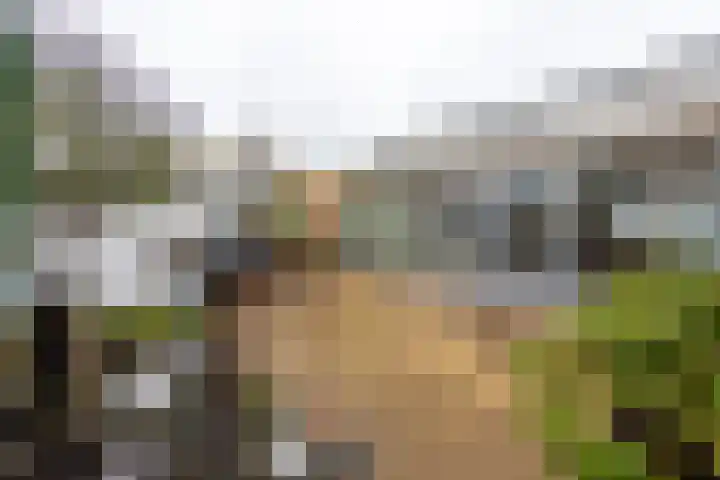 De Volmolen 73 Goirle thumbnail 27