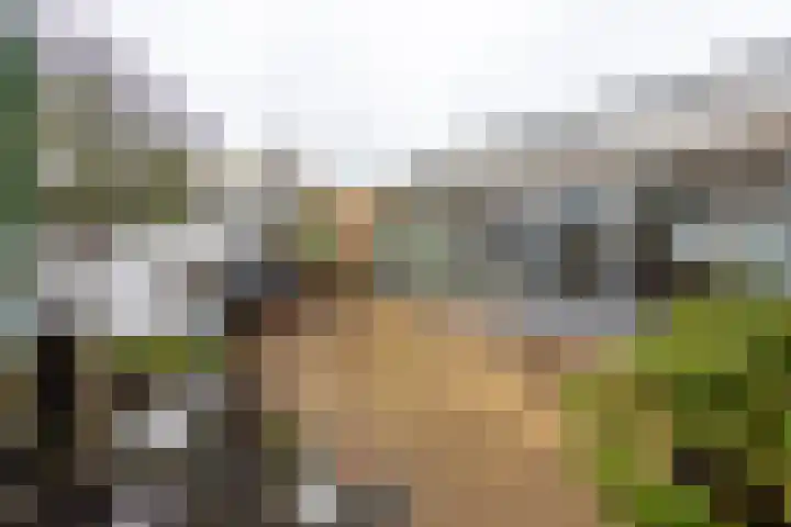 De Volmolen 73 Goirle thumbnail 4