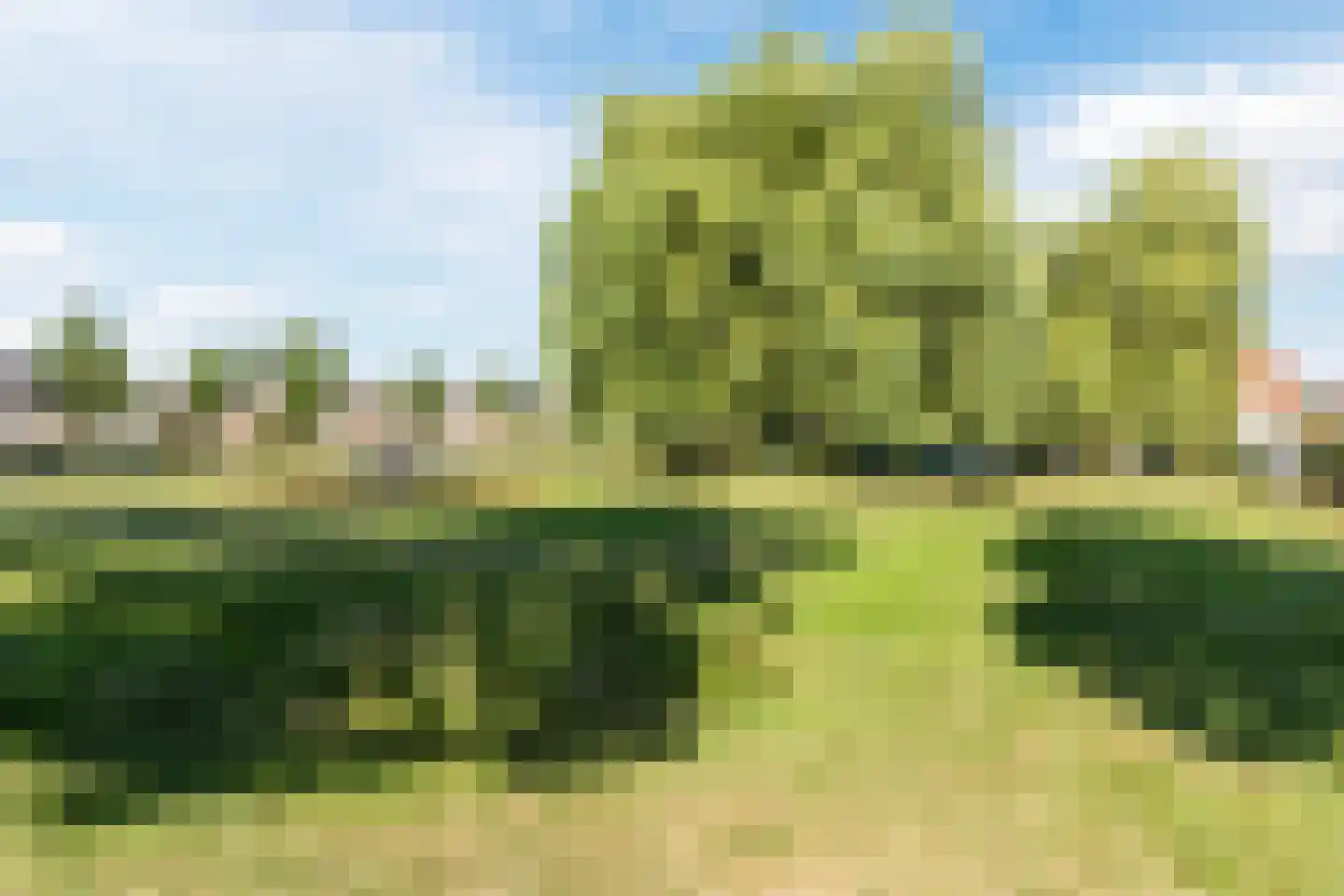 De Volmolen 98 Goirle thumbnail 39