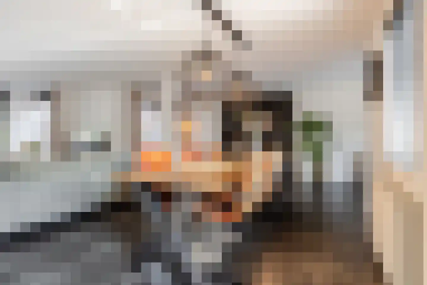 De Volmolen 98 Goirle thumbnail 7