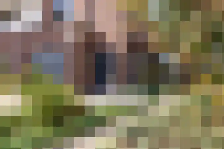 De Vonder 1 Zetten thumbnail 10