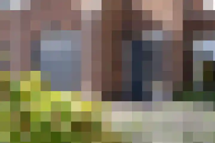 De Vonder 1 Zetten thumbnail 11