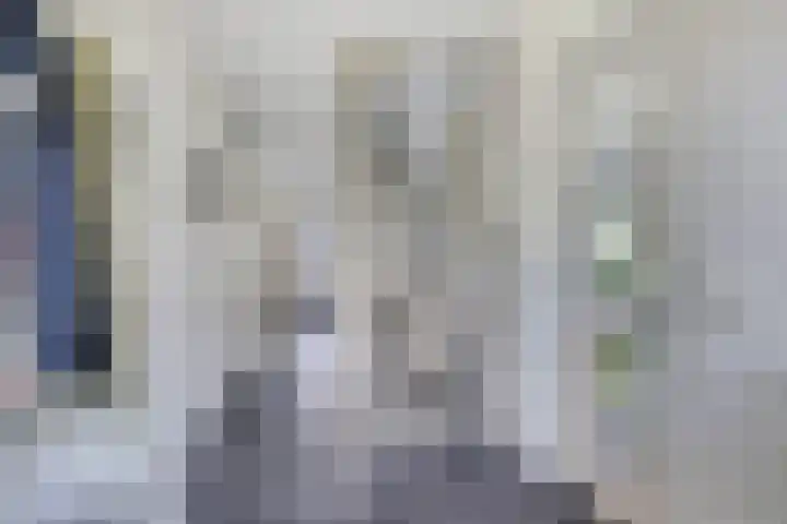 De Vonder 1 Zetten thumbnail 12