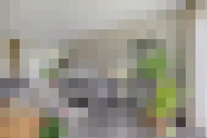 De Vonder 1 Zetten thumbnail 14