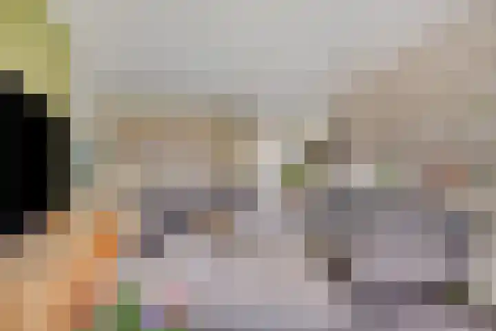 De Vonder 1 Zetten thumbnail 15