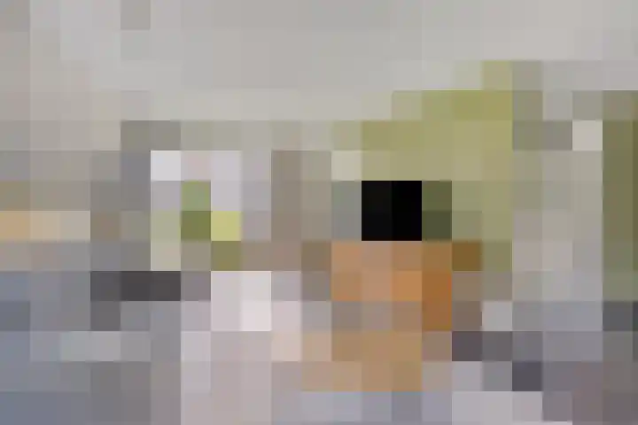 De Vonder 1 Zetten thumbnail 16