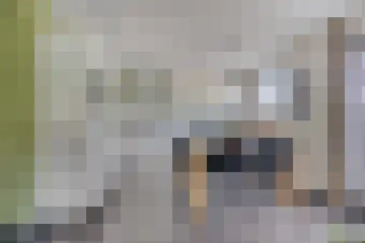 De Vonder 1 Zetten thumbnail 20