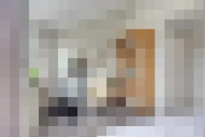 De Vonder 1 Zetten thumbnail 26