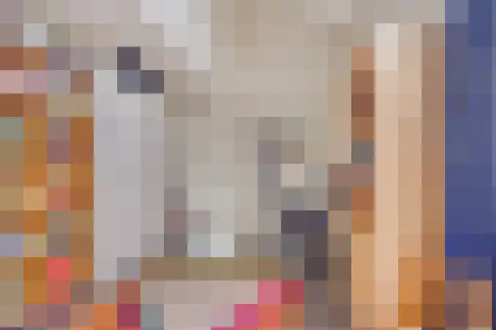 De Vonder 1 Zetten thumbnail 30