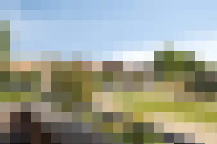 De Vonder 1 Zetten thumbnail 31